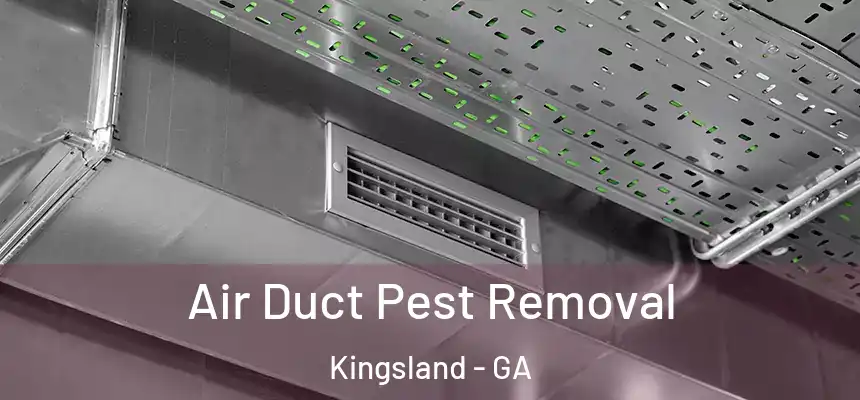  Air Duct Pest Removal Kingsland - GA