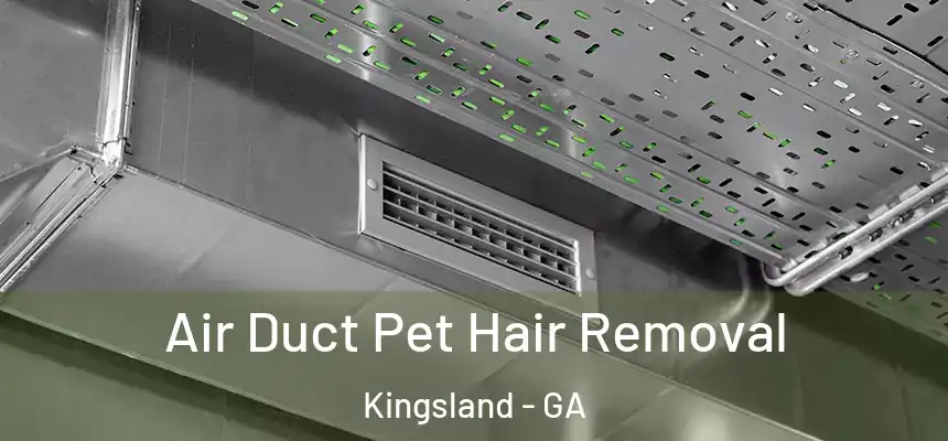  Air Duct Pet Hair Removal Kingsland - GA