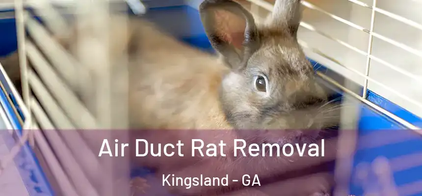  Air Duct Rat Removal Kingsland - GA