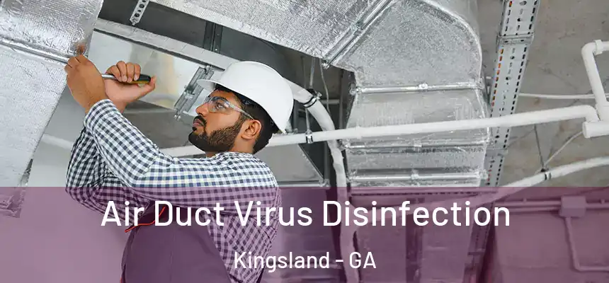  Air Duct Virus Disinfection Kingsland - GA