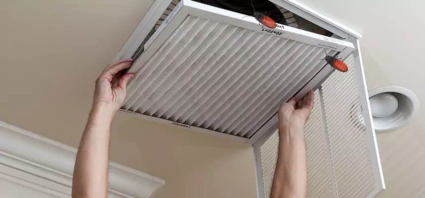 Preventive Cockroach-Proofing for Ducts in Kingsland