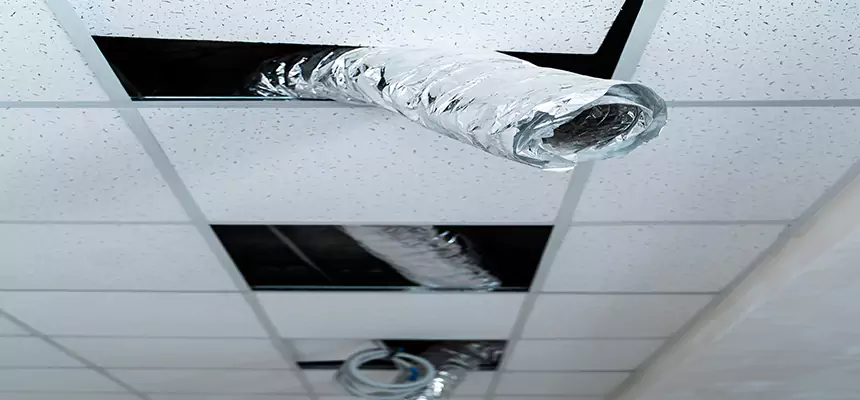 Our Air Duct Pet Hair Removal Services in Kingsland, GA