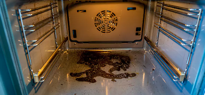 Our Dryer Vent Mold Cleaning Services in Kingsland, GA