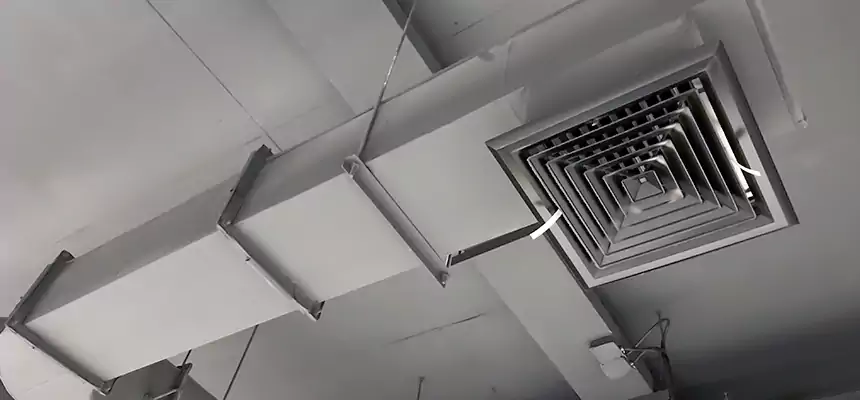 Our Pest Removal From Ducts Services in Kingsland, GA