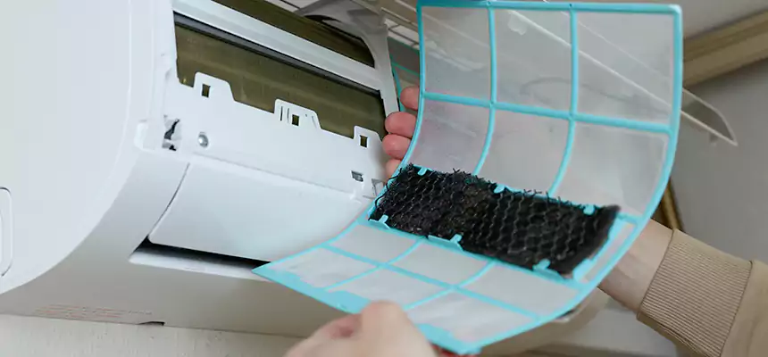 Gentle Ductwork Odor-Control Pet Dander Duct Cleaning in Kingsland, GA