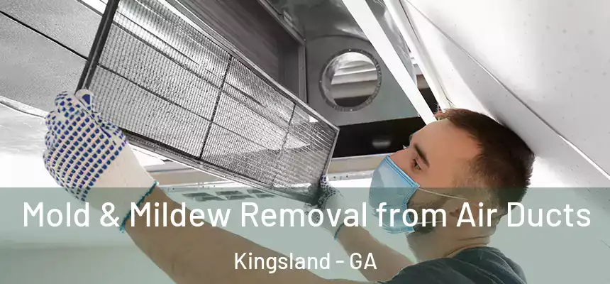  Mold & Mildew Removal from Air Ducts Kingsland - GA