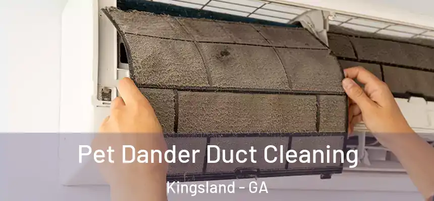  Pet Dander Duct Cleaning Kingsland - GA