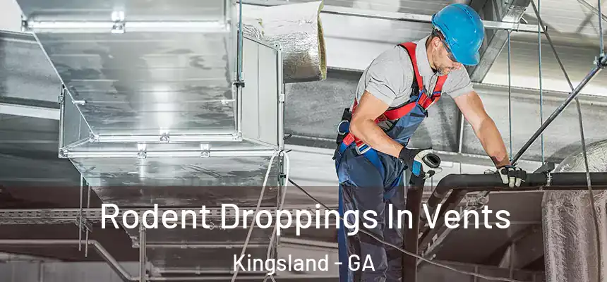  Rodent Droppings In Vents Kingsland - GA