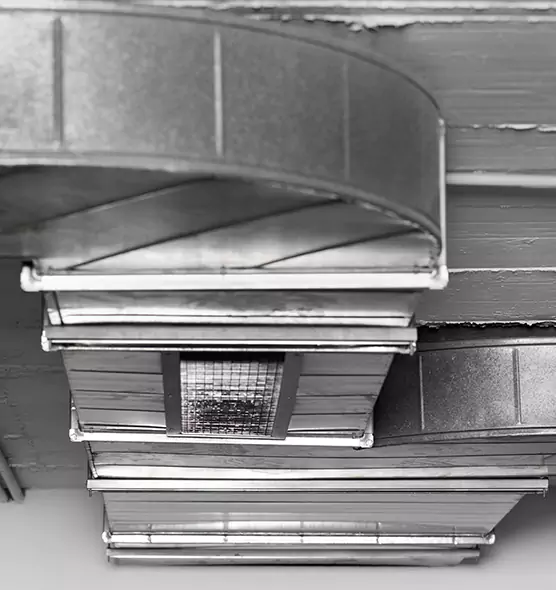 Professional Air Duct Pest Removal in Kingsland, GA