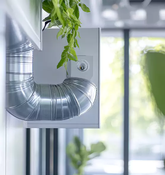 Professional Eco-Safe Dryer Vent Cleaning in Kingsland, GA