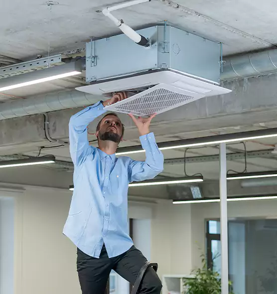 Advanced Rodent Droppings In Vents in Kingsland, GA