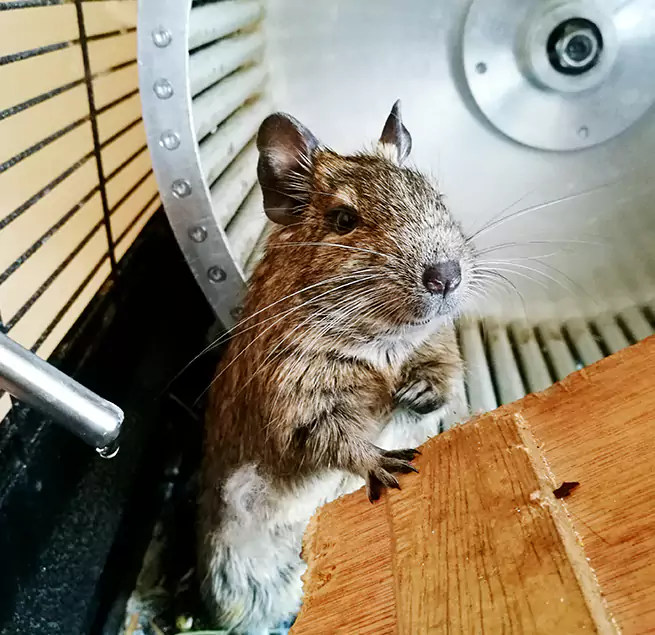 Why Homeowners & Businesses Trust Us Kingsland, GA