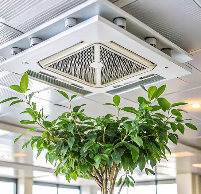 Why Homeowners & Businesses Trust Us in Kingsland, GA?