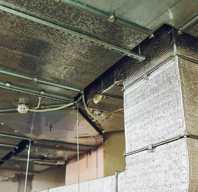 Why Homeowners & Businesses Trust Us in Kingsland, GA?