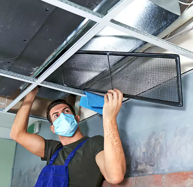 Why Homeowners Businesses Trust Us in Kingsland, GA